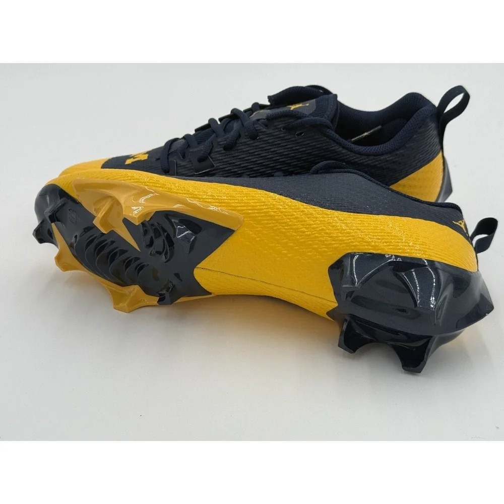 Size 11 - Nike Jordan Vapor Edge Speed 360 2 Michigan PE FJ5724-407 No Box Lid